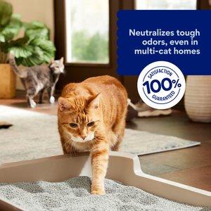 Chewy Made Multi-Cat Unscented Clumping Clay Cat Litter (FORMERLY FRISCO), 40-lb bag