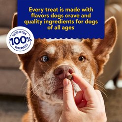 Chewy Made Chicken Recipe Grain-Free Soft & Chewy Training Bits Dog Treats (FORMERLY AMERICAN JOURNEY), 16-oz bag slide 2 of 8