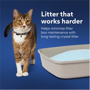 Chewy Made Micro Crystal Unscented Non-Clumping Cat Litter (FORMERLY FRISCO), 7-lb bag