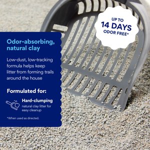 Chewy Made Multi-Cat Fresh Scented Clumping Clay Cat Litter (FORMERLY FRISCO), 40-lb bag
