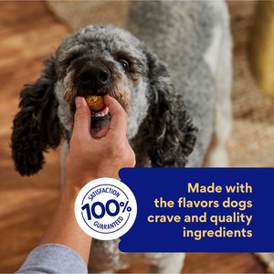 Chewy Made Oven Baked with Peanut Butter Grain-Free Crunchy Biscuit Dog Treats (FORMERLY AMERICAN JOURNEY), 8-oz bag