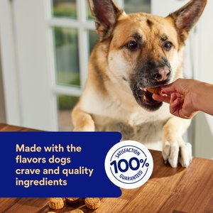 Chewy Made Soft-Baked With Peanut Butter & Banana Grain-Free Dog Treats (FORMERLY AMERICAN JOURNEY), 8-oz bag