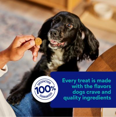 Show full view: Chewy Made Salmon Recipe Grain-Free Oven Baked Biscuit Dog Treats (FORMERLY AMERICAN JOURNEY), 8-oz bag slide 7 of 9