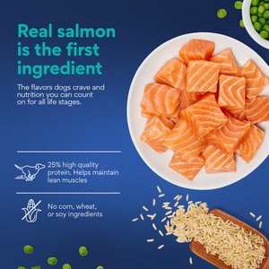 Chewy Made Complete Nutrition Salmon, Brown Rice & Vegetables Recipe Dry Dog Food (FORMERLY AMERICAN JOURNEY), 28-lb bag