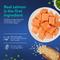 Show in main carousel: Chewy Made Complete Nutrition Salmon, Brown Rice & Vegetables Recipe Dry Dog Food (FORMERLY AMERICAN JOURNEY), 28-lb bag slide 5 of 9