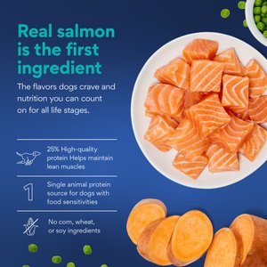 Chewy Made Limited Ingredient Salmon & Sweet Potato Recipe Grain-Free Dry Dog Food (FORMERLY AMERICAN JOURNEY), 24-lb bag