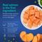 Show in main carousel: Chewy Made Limited Ingredient Salmon & Sweet Potato Recipe Grain-Free Dry Dog Food (FORMERLY AMERICAN JOURNEY), 24-lb bag slide 5 of 9