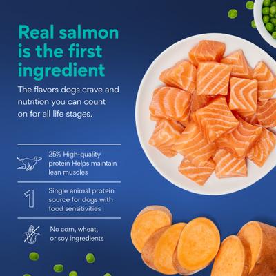 Show full view: Chewy Made Limited Ingredient Salmon & Sweet Potato Recipe Grain-Free Dry Dog Food (FORMERLY AMERICAN JOURNEY), 24-lb bag slide 5 of 9