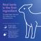 Show in main carousel: Chewy Made Digestive Health Lamb & Brown Rice Recipe Dry Adult Dog Food, 40-lb bag slide 5 of 9
