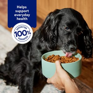 Chewy Made Digestive Health Lamb & Brown Rice Recipe Dry Adult Dog Food, 40-lb bag