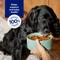 Show in main carousel: Chewy Made Digestive Health Lamb & Brown Rice Recipe Dry Adult Dog Food, 40-lb bag slide 7 of 9