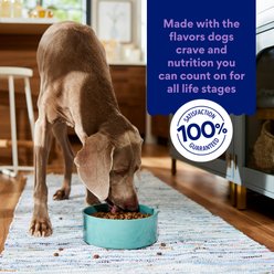Chewy Made Complete Nutrition High Protein Grain-Free with Lamb, Venison & Beef Dry Dog Food (FORMERLY AMERICAN JOURNEY), 24-lb bag slide 2 of 8