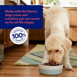 Chewy Made Complete Nutrition High Protein Grain-Free Beef & Sweet Potato Recipe Dry Dog Food (FORMERLY AMERICAN JOURNEY), 24-lb bag slide 2 of 8