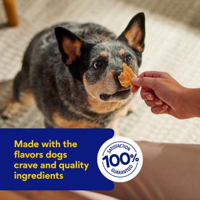 Show full view: Chewy Made Limited Ingredient Chicken Jerky Natural Grain-Free Dog Treats (FORMERLY AMERICAN JOURNEY), 6.5-oz bag slide 7 of 9