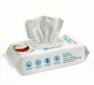 Best Pet Supplies Coconut-Scented Moisturizing Cat & Dog Grooming Wipes, 100 count