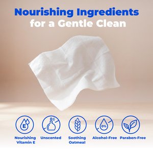 Best Pet Supplies Oatmeal Unscented Soothing Cat & Dog Grooming Wipes, 100 count