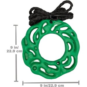 PetKORE Luna Ring with Hanging Kit Horse Toy, Green, 9-in