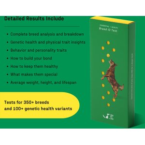 DNA My Dog Essential Plus Breed Identification Test