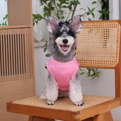 CuteBone Birthday Dog T-Shirt, Pink, Small slide 2 of 9