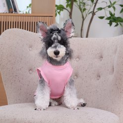 CuteBone Little Miss Sassy Pants Dog T-Shirt, Pink, Medium slide 2 of 9