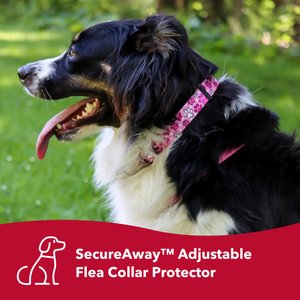 SecureAway Dog Flea Collar Protector, 18-26-in, MultiPaw