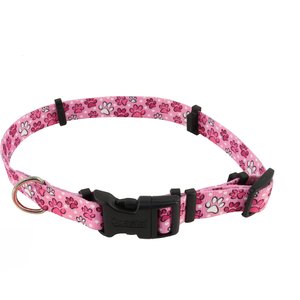 SecureAway Dog Flea Collar Protector, 18-26-in, MultiPaw