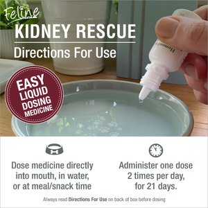 HomeoPet Feline Kidney Rescue Liquid Supplement for Cats, 15-mL
