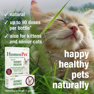HomeoPet Feline Kidney Rescue Liquid Supplement for Cats, 15-mL