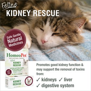 HomeoPet Feline Kidney Rescue Liquid Supplement for Cats, 15-mL