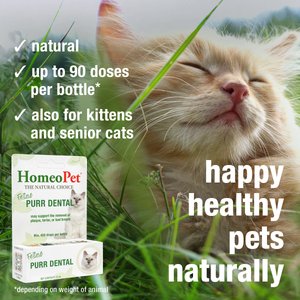 HomeoPet Feline Purr Dental Cat Supplement, 15mL bottle
