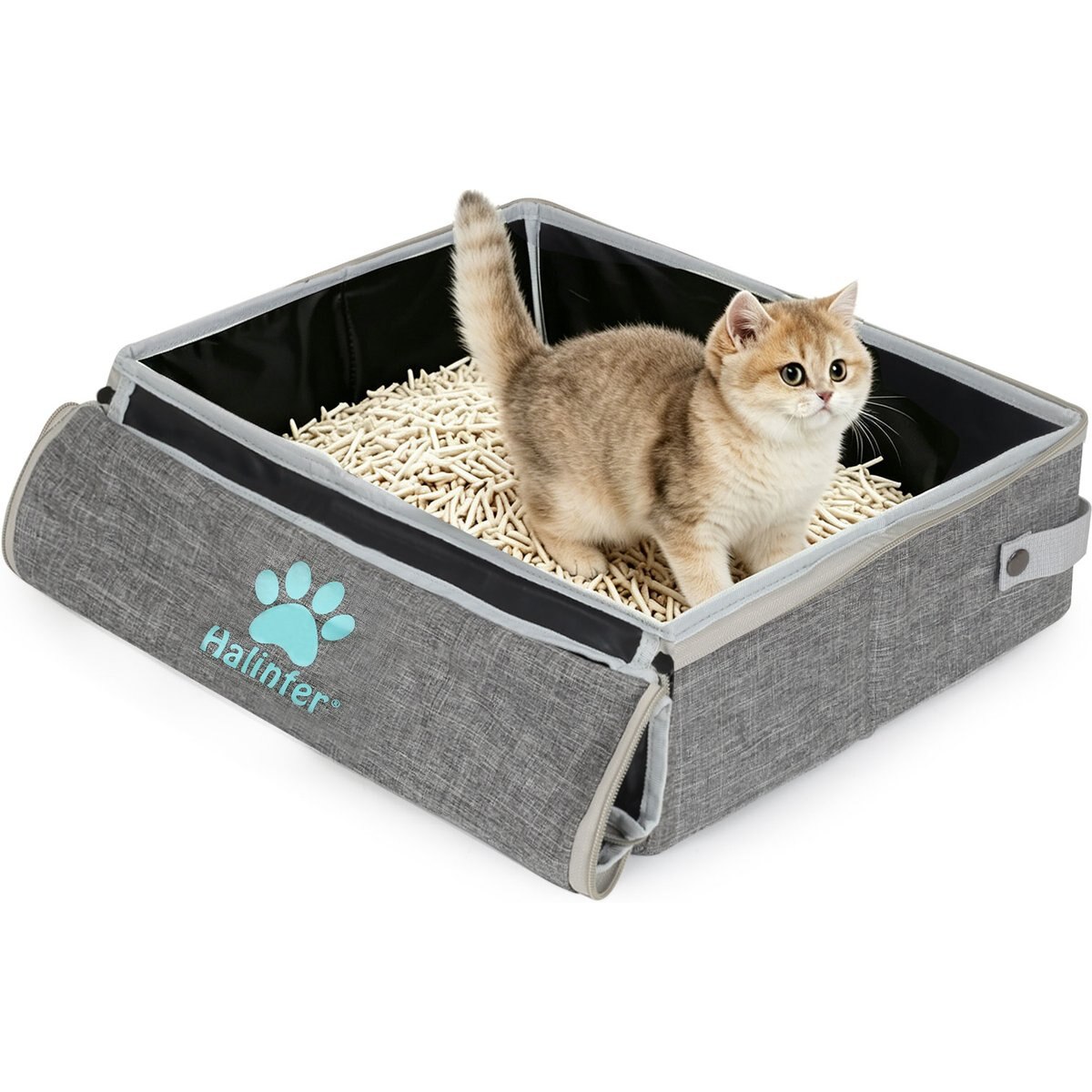 Halinfer Portable Cat Travel Litter Box with Zipped Lid, Grey, Medium