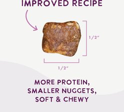 Health Extension Salmon Recipe Non-GMO Air-Dried Dog Food, 12-oz bag slide 2 of 9