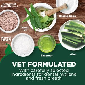 Vet's Best Toothbrush & Toothpaste Dental Kit, 3.5-oz tube, Adult