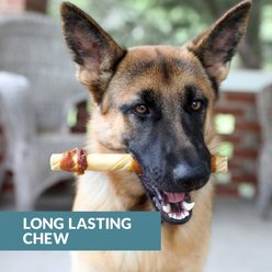 Wild Eats Wrapped Twisted Cheek Single Source High Protein Jerky Dog Chew Treats, 9-in roll, 2 count slide 2 of 6