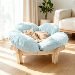 Kylinsure Indoor Raised Wooden Sofa Elevated Small Dog & Cat Couch Bed with Cushion Fluff, Medium, Light Blue