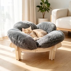 Kylinsure Indoor Raised Wooden Sofa Elevated Small Dog & Cat Couch Bed with Cushion Fluff, Medium, Grey