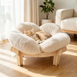 Kylinsure Indoor Raised Wooden Sofa Elevated Small Dog & Cat Couch Bed with Cushion Fluff, Medium, Cream