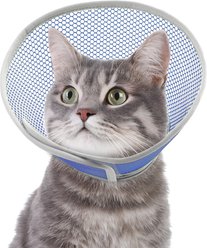 Supet Waterproof Lightweight Recovery Collar for Cats, Star, Large