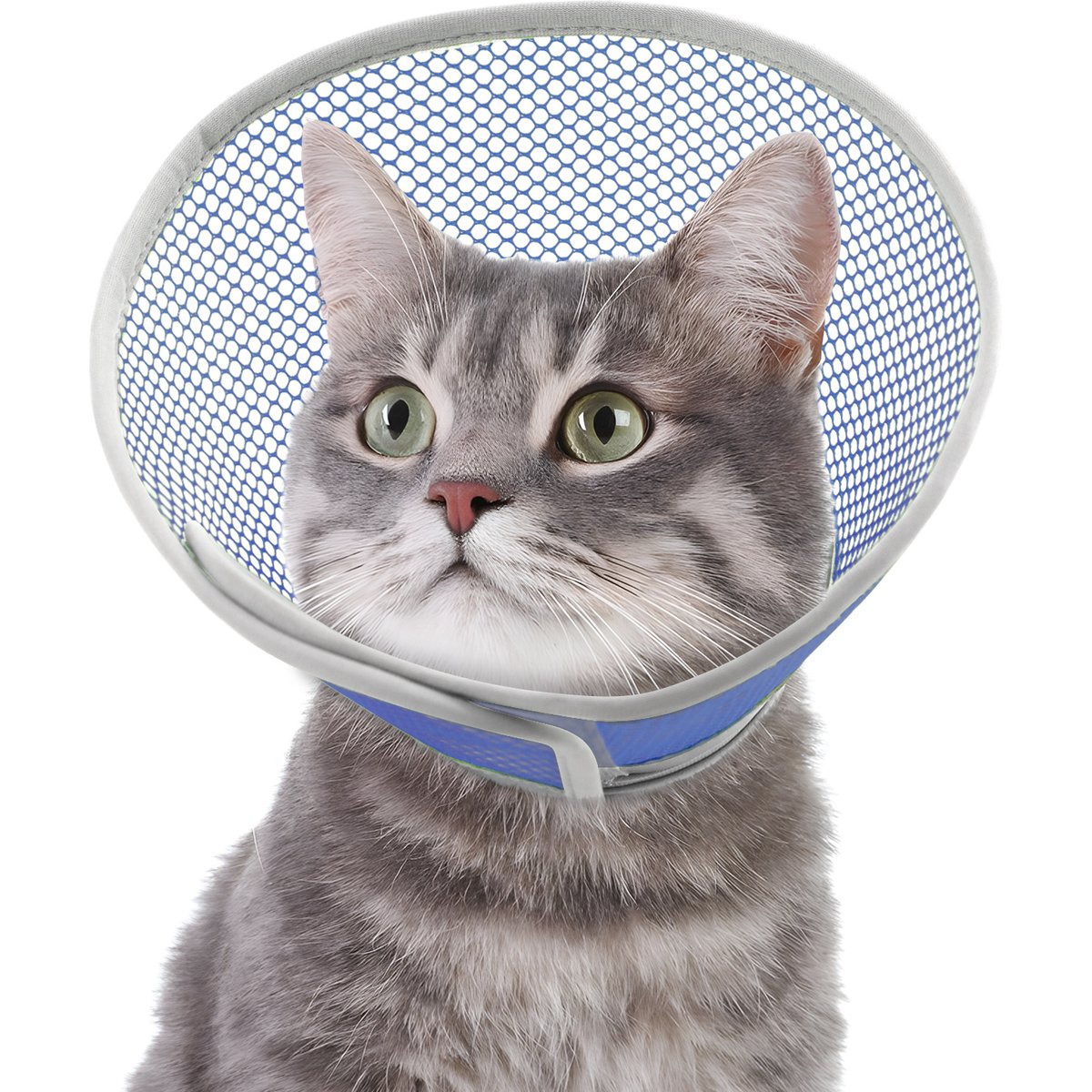 Supet Waterproof Lightweight Recovery Collar for Cats, Star, Large