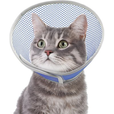 Supet Supet Waterproof Lightweight Recovery Collar for Cats, Star, Large
