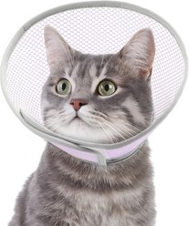 Supet Waterproof Lightweight Recovery Collar for Cats, Purple, Small