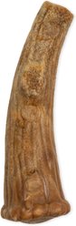 Nylabone Nubz Large Wild Antler Venison Hard Dog Chew Treats, 2 count slide 2 of 9