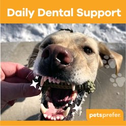 PetsPrefer Chompables Paw Shaped Mint Dental Dog Chew Treats, 25.49-oz pouch, 24 count slide 2 of 7