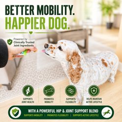 FAM Pets Hip & Joint Glucosamine, MSM & Green-Lipped Mussel Soft Chews Supplement for Dogs, 30 count slide 2 of 7