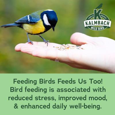 Show full view: Kalmbach Feeds Everyday Essentials Wild Bird Food, Green, 20-lb bag slide 6 of 8