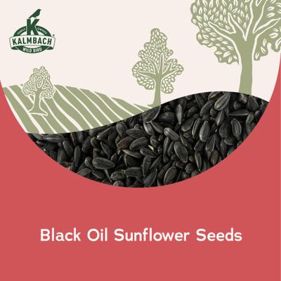 Show full view: Kalmbach Feeds Heritage Seeds Black Oil Sunflower Seeds Wild Bird Food Red, 20-lb bag slide 7 of 7