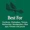 Show in main carousel: Kalmbach Feeds Songbird Reserve Shell Free No Mess Wild Bird Food, Green/Blue, 20-lb bag slide 3 of 7