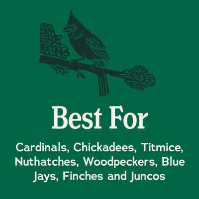 Show full view: Kalmbach Feeds Songbird Reserve Shell Free No Mess Wild Bird Food, Green/Blue, 20-lb bag slide 3 of 7