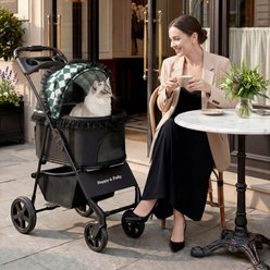 Happy & Polly Luxury Foldable Stroller with Shock-Absorbing Wheels for Small Dogs & Cats, Green slide 2 of 9