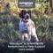 Show in main carousel: Nutramax Dasuquin Hip & Joint Soft Chews Joint Supplement for Small & Medium Dogs, 84 count slide 3 of 11